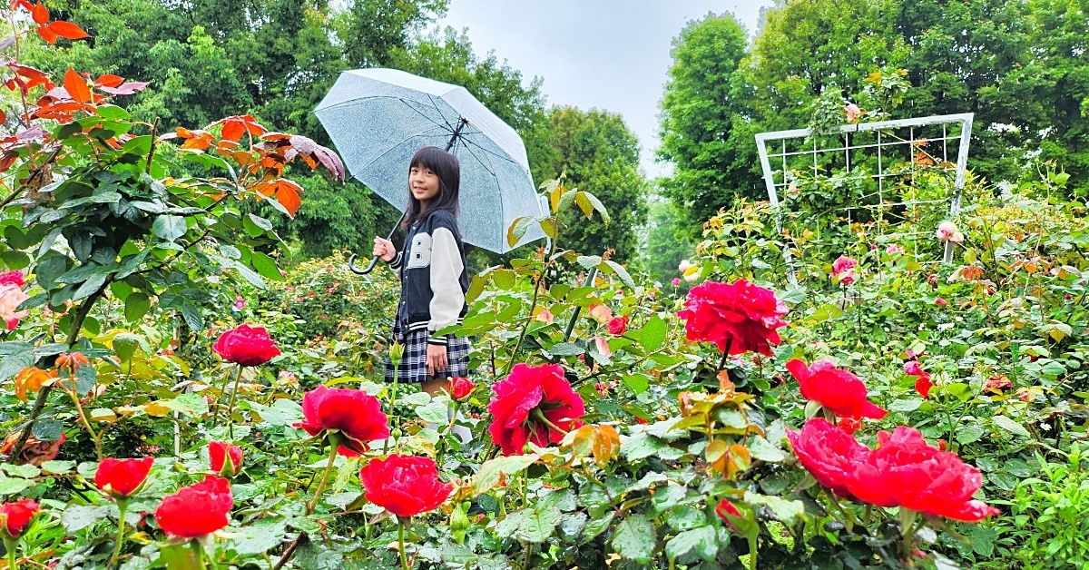 雅聞魅力博覽館｜桃園免費景點～浪漫玫瑰花園免費拍!! 還有溫室餐廳、香氛DIY @兔兒毛毛姊妹花