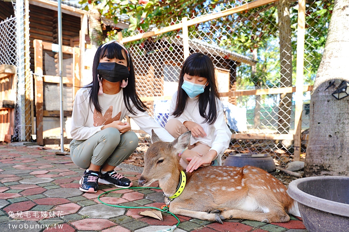 台東景點》鹿野一日遊必玩景點推薦～搭熱氣球、餵小動物、泡湯戲水、吃野菜鍋 @兔兒毛毛姊妹花