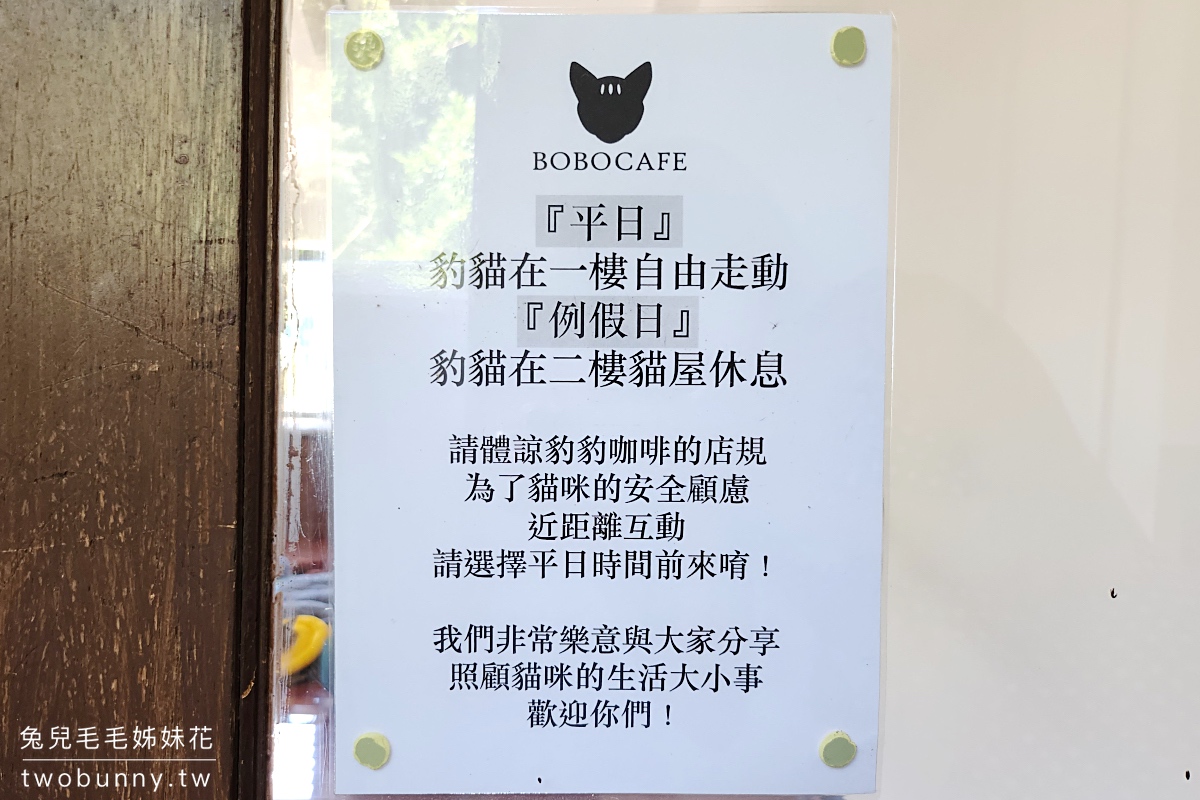 五股景點【豹豹咖啡森林館 BoBo Cafe】觀音山景觀咖啡廳，六隻駐店豹貓陪用餐超療癒 @兔兒毛毛姊妹花