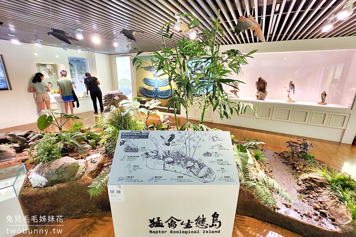 五股免費景點「觀音山遊客中心猛禽展示館」小而美老鷹博物館，VR互動遊戲免費玩 @兔兒毛毛姊妹花