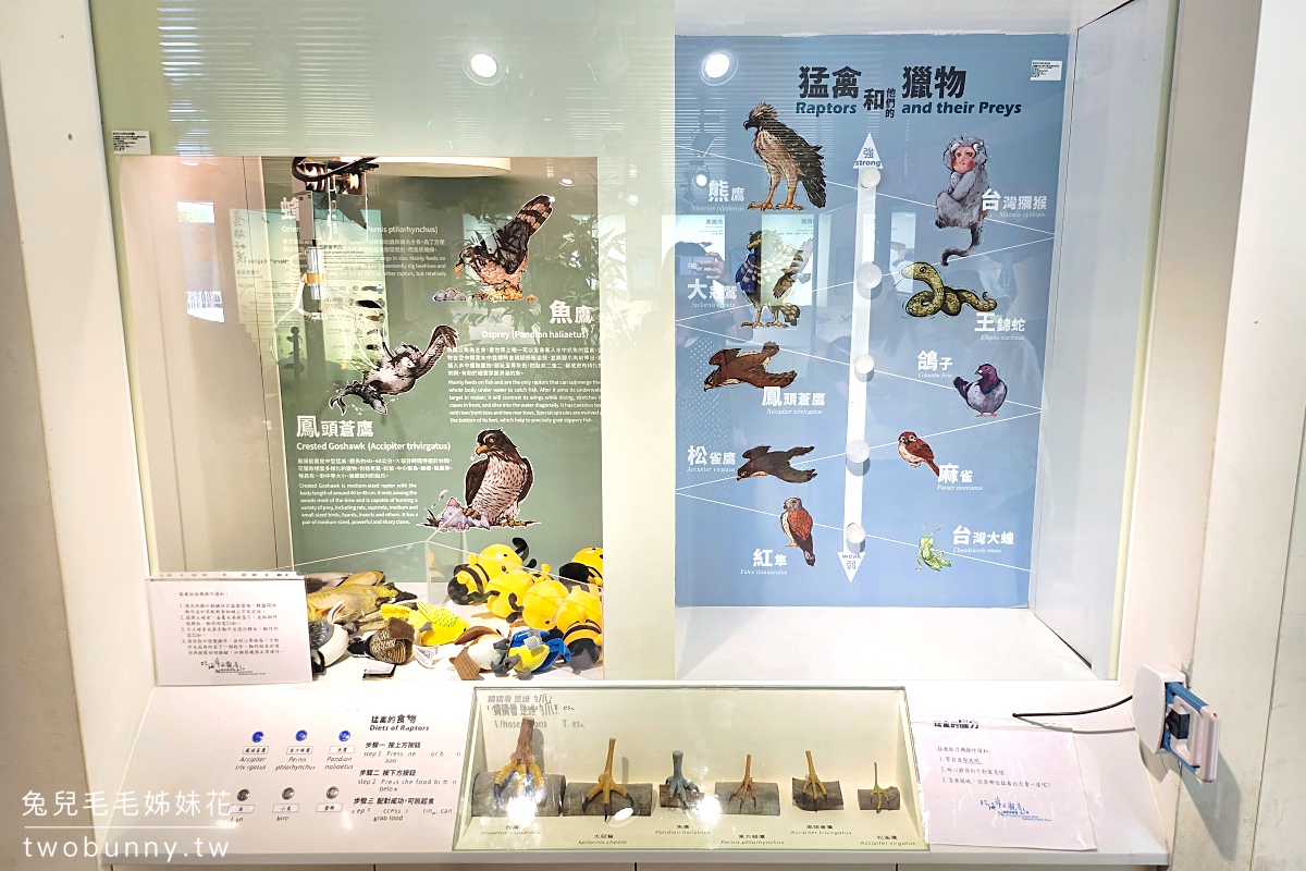 五股免費景點【觀音山遊客中心猛禽展示館】小而美老鷹博物館，VR互動遊戲免費玩 @兔兒毛毛姊妹花