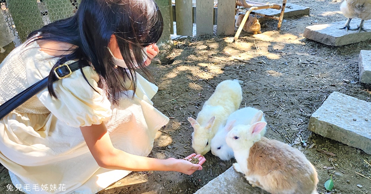 新北五股一日遊｜觀光工廠、生態農場、林梢步道、貓咪咖啡，順遊八里特色公園 @兔兒毛毛姊妹花