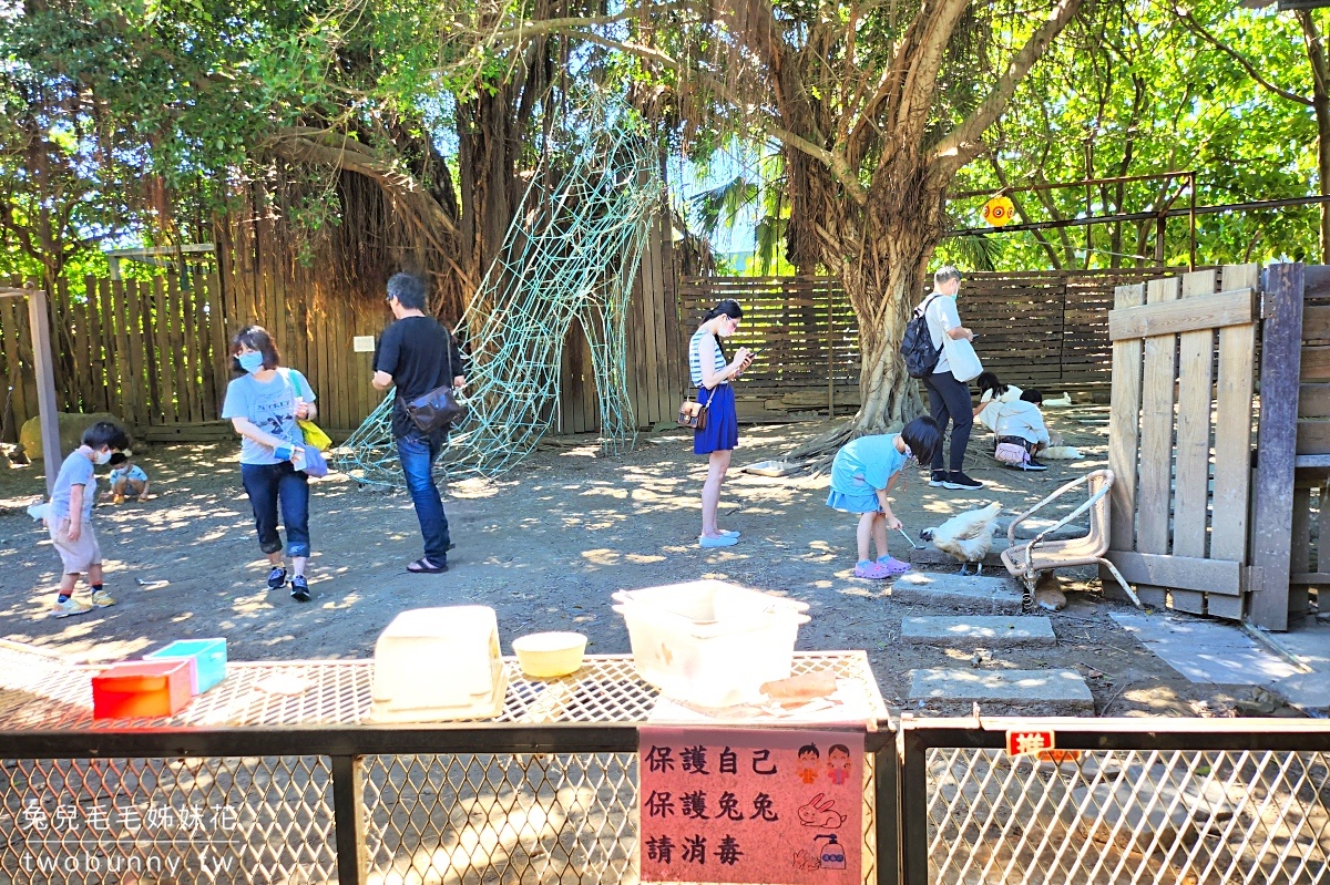 八里親子餐廳【TO House 兔子庭園餐廳】十三行博物館旁兔子餐廳，八里自行車順遊景點 @兔兒毛毛姊妹花