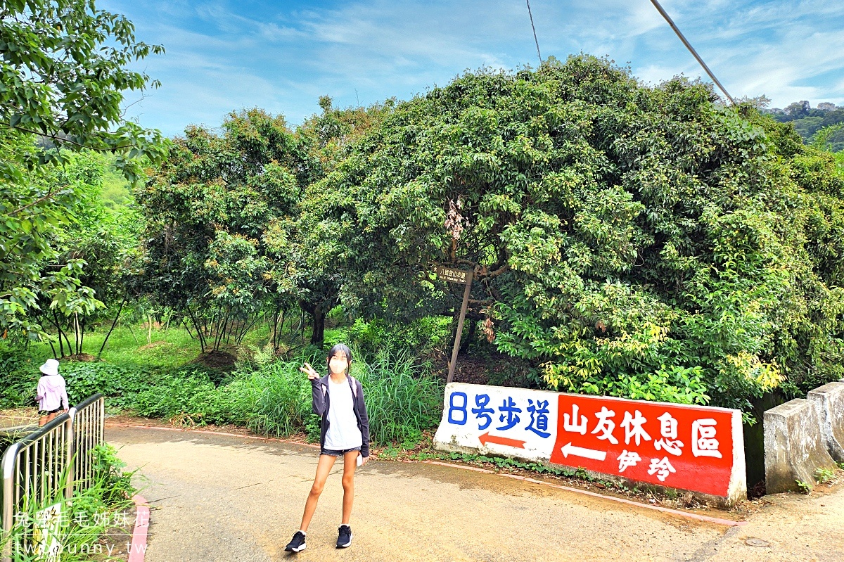 台中特色公園【大坑風動石公園】嗨翻天森林遊戲場，大坑8號步道輕鬆抵達｜台中免費景點 @兔兒毛毛姊妹花