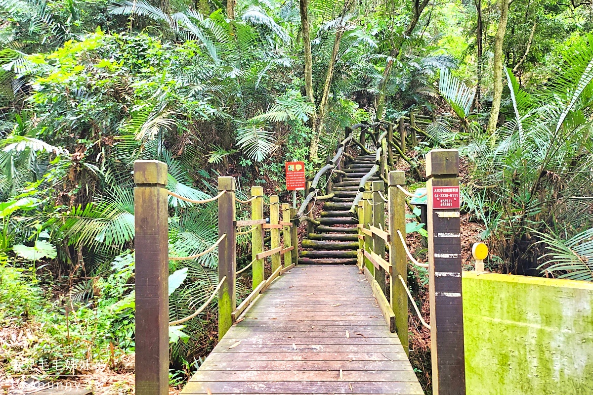 台中特色公園【大坑風動石公園】嗨翻天森林遊戲場，大坑8號步道輕鬆抵達｜台中免費景點 @兔兒毛毛姊妹花