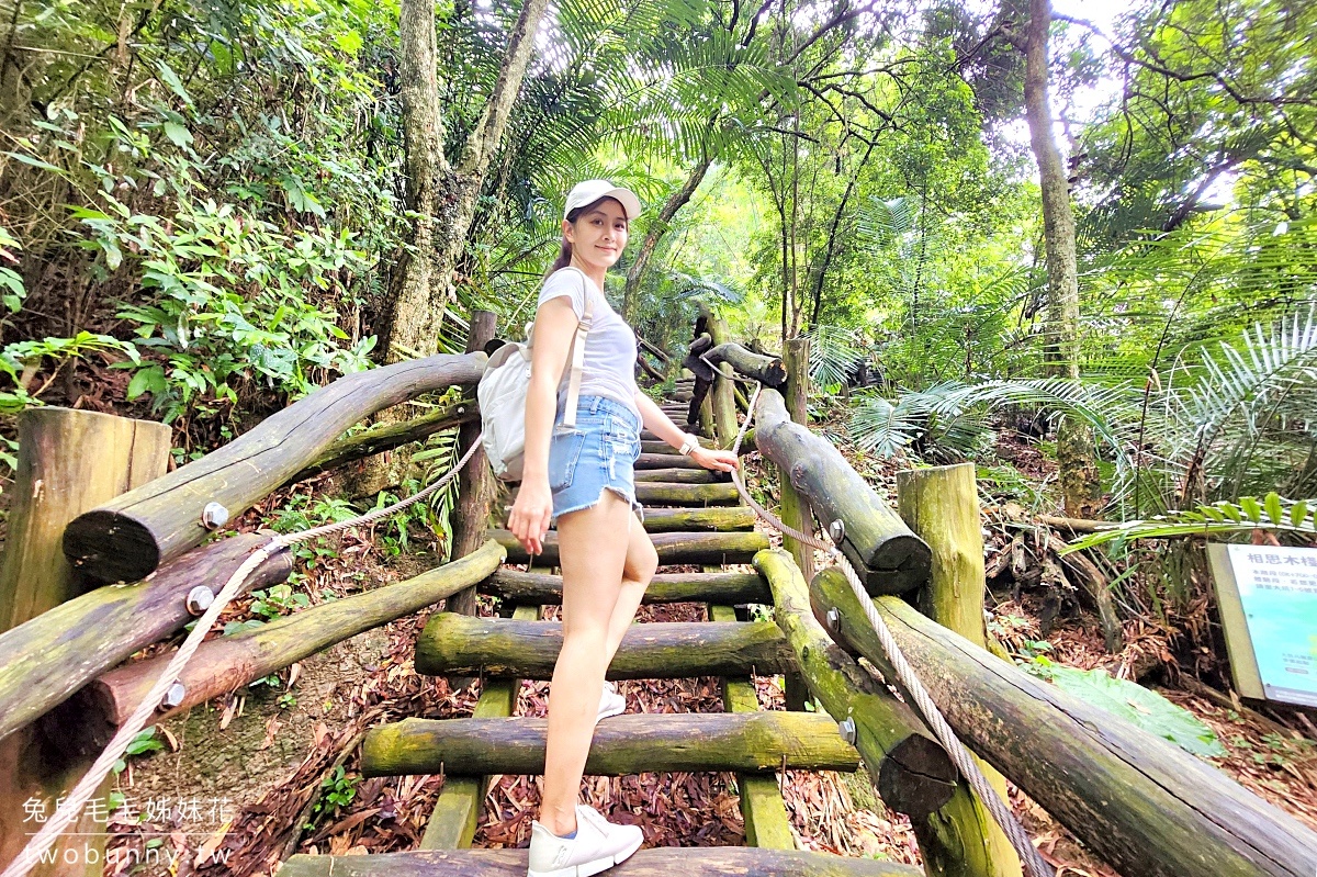 台中特色公園【大坑風動石公園】嗨翻天森林遊戲場，大坑8號步道輕鬆抵達｜台中免費景點 @兔兒毛毛姊妹花