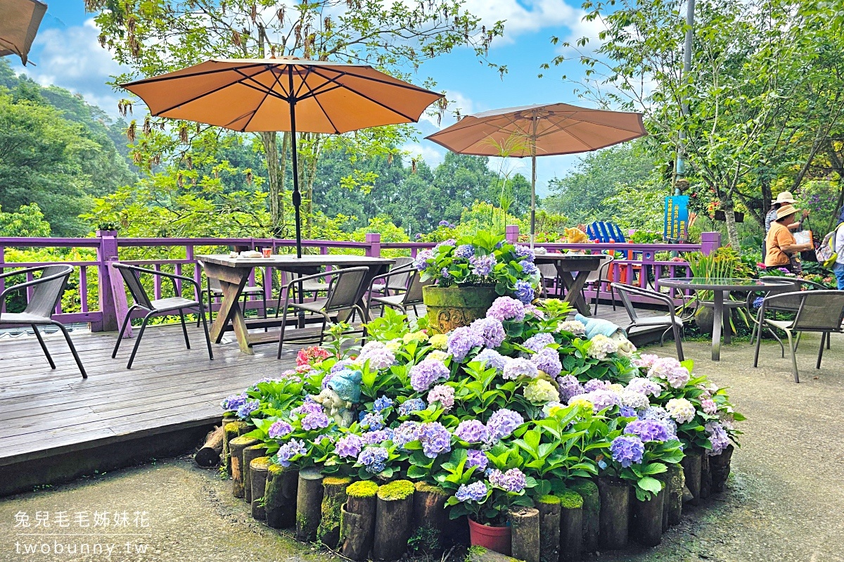 碧絡角花園咖啡｜苗栗南庄山中秘境賞花景觀餐廳，繡球花綻放中，秋冬賞楓、賞櫻 @兔兒毛毛姊妹花