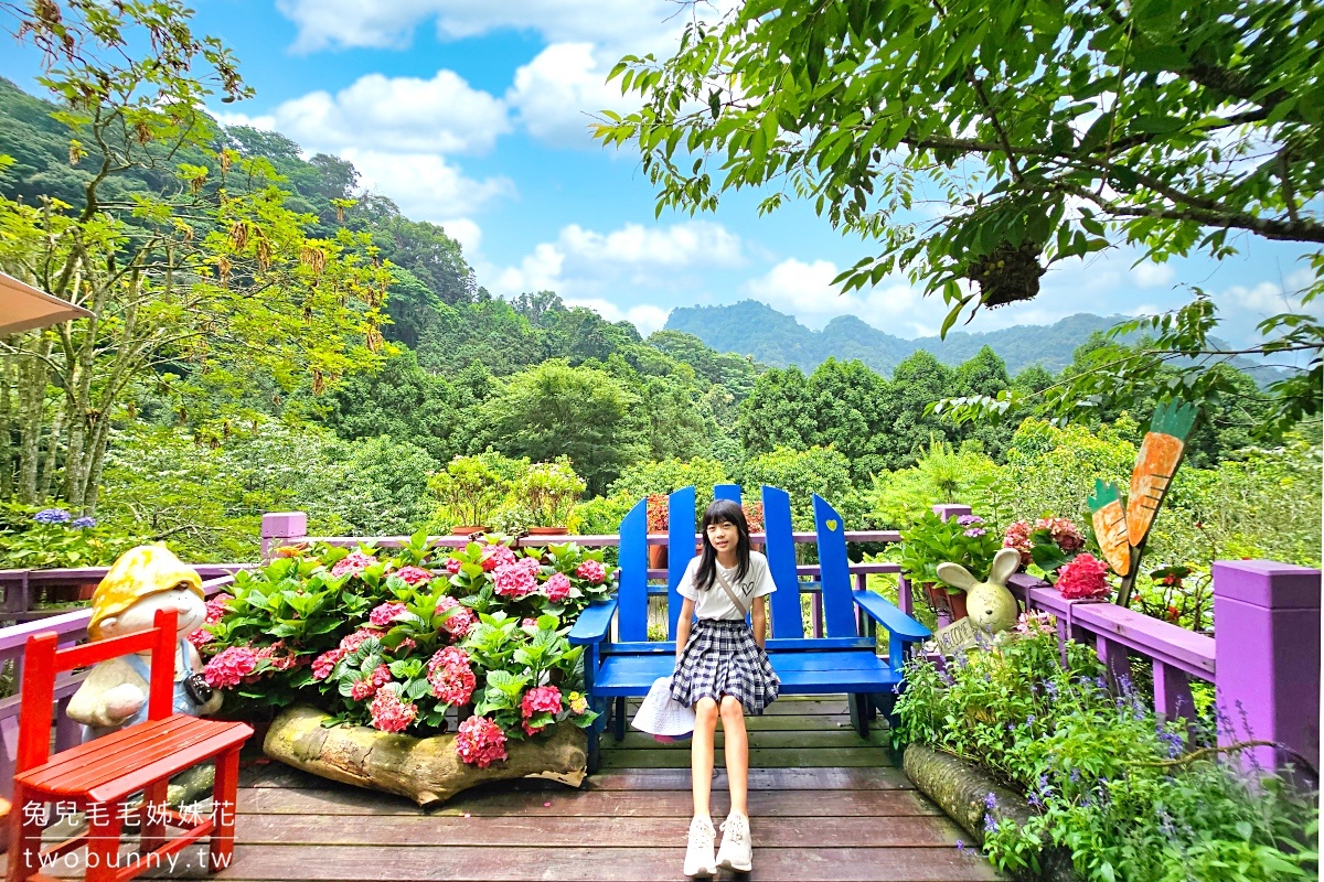 碧絡角花園咖啡｜苗栗南庄山中秘境賞花景觀餐廳，繡球花綻放中，秋冬賞楓、賞櫻 @兔兒毛毛姊妹花