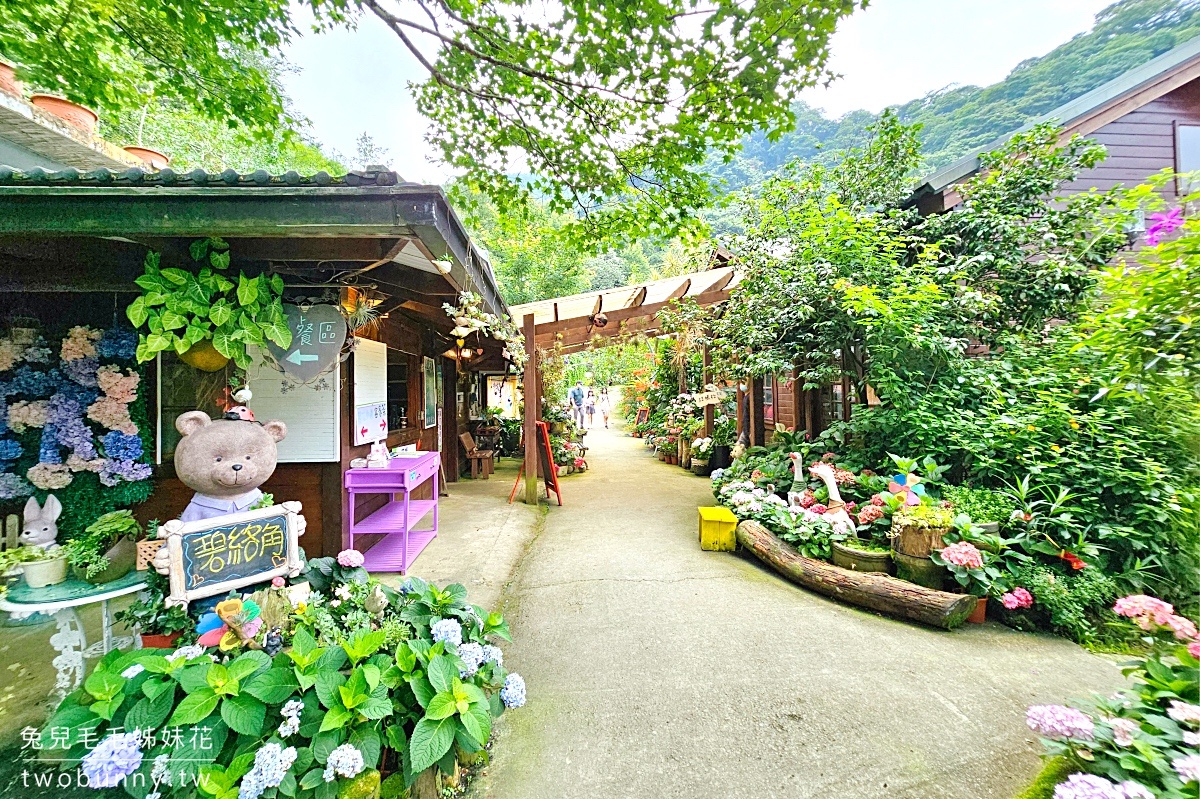 碧絡角花園咖啡｜苗栗南庄山中秘境賞花景觀餐廳，繡球花綻放中，秋冬賞楓、賞櫻 @兔兒毛毛姊妹花