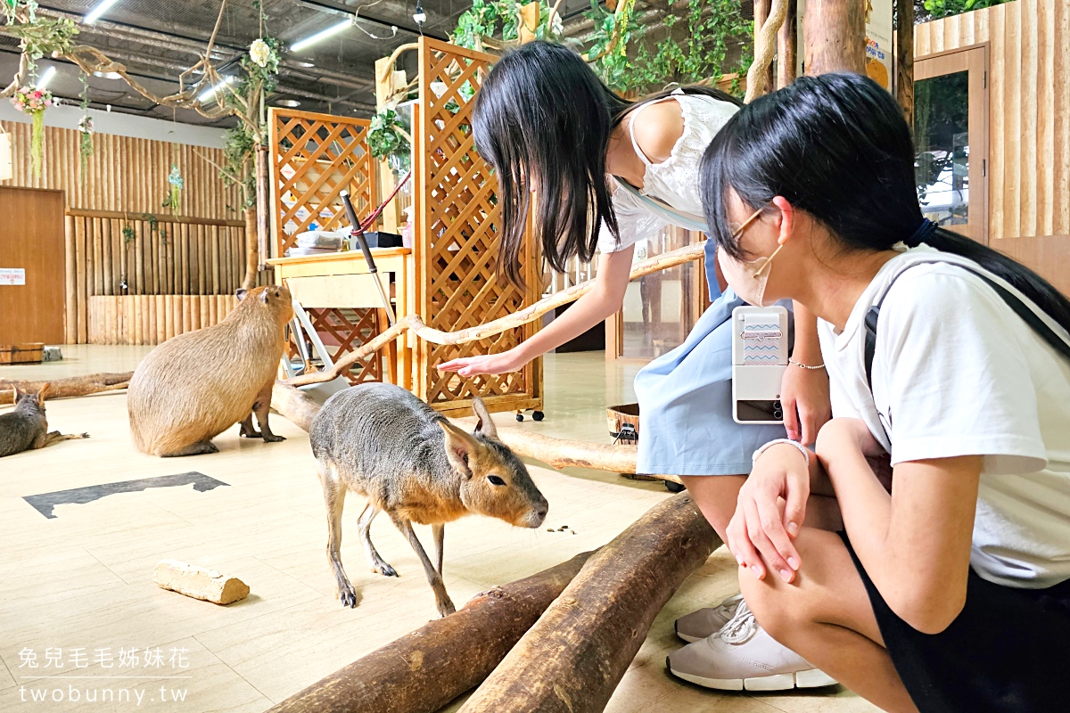 2025大阪親子景點TOP13推薦～大阪親子遊必訪遊樂園、水族館、動物園、室內景點 @兔兒毛毛姊妹花