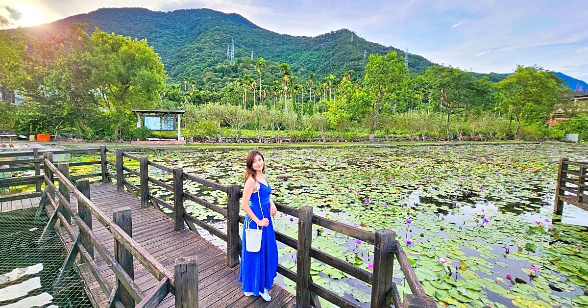 花蓮吉安景點【蓮城蓮花園】免費賞蓮花拍美照、戲水餵魚，還招待大壺蓮花茶 @兔兒毛毛姊妹花