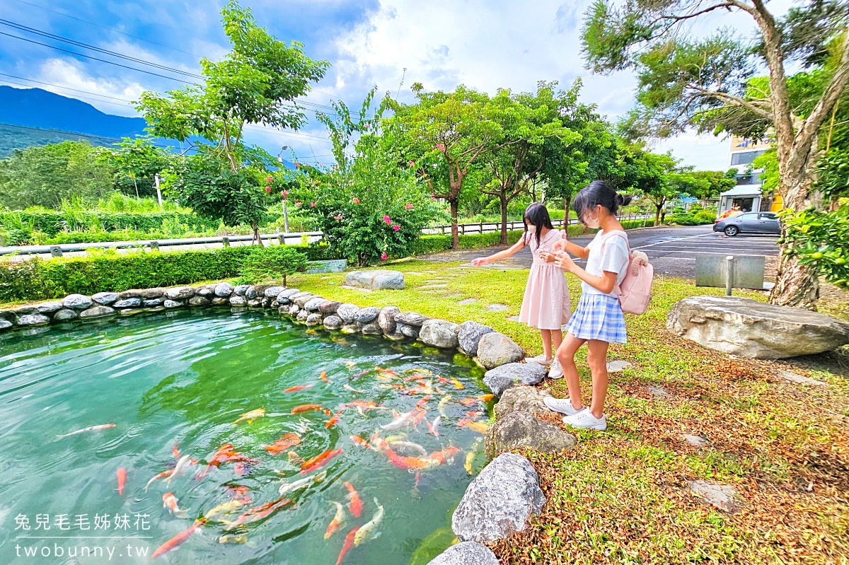 花蓮鳳林景點【蜂之鄉鳳林蜜蜂生態教育館】免門票室內景點，餵魚、吃點心的好地方 @兔兒毛毛姊妹花