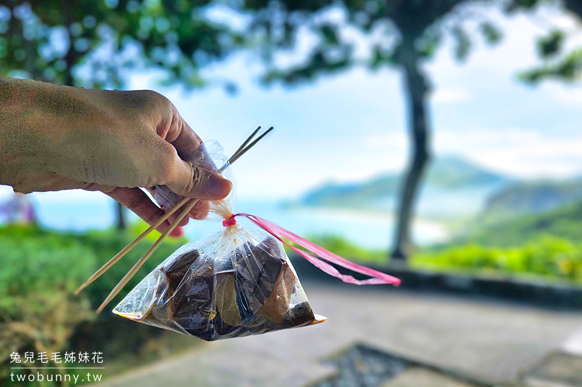 花蓮免費景點【芭崎休息區】花東海線必訪台11線秘境瞭望台，無敵海景免費看 @兔兒毛毛姊妹花