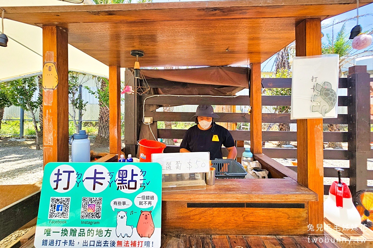 廢物媽媽育兒農場｜新開幕新竹親子農場～近距離餵食水豚、羊駝、梅花鹿 @兔兒毛毛姊妹花