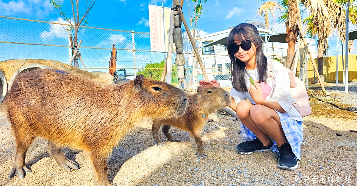 宜蘭五結景點【溪和水產觀光工廠】川燙海鮮、飯糰DIY，最好吃又好好玩的親子室內景 @兔兒毛毛姊妹花