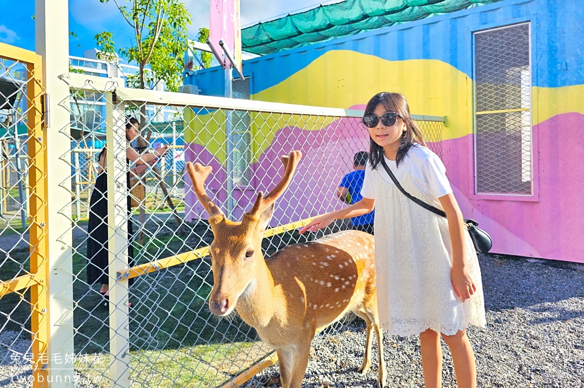 星夢森林劇場｜宜蘭冬山小型動物園也是兒童遊戲場，一張門票暢玩兩區還附飼料 @兔兒毛毛姊妹花