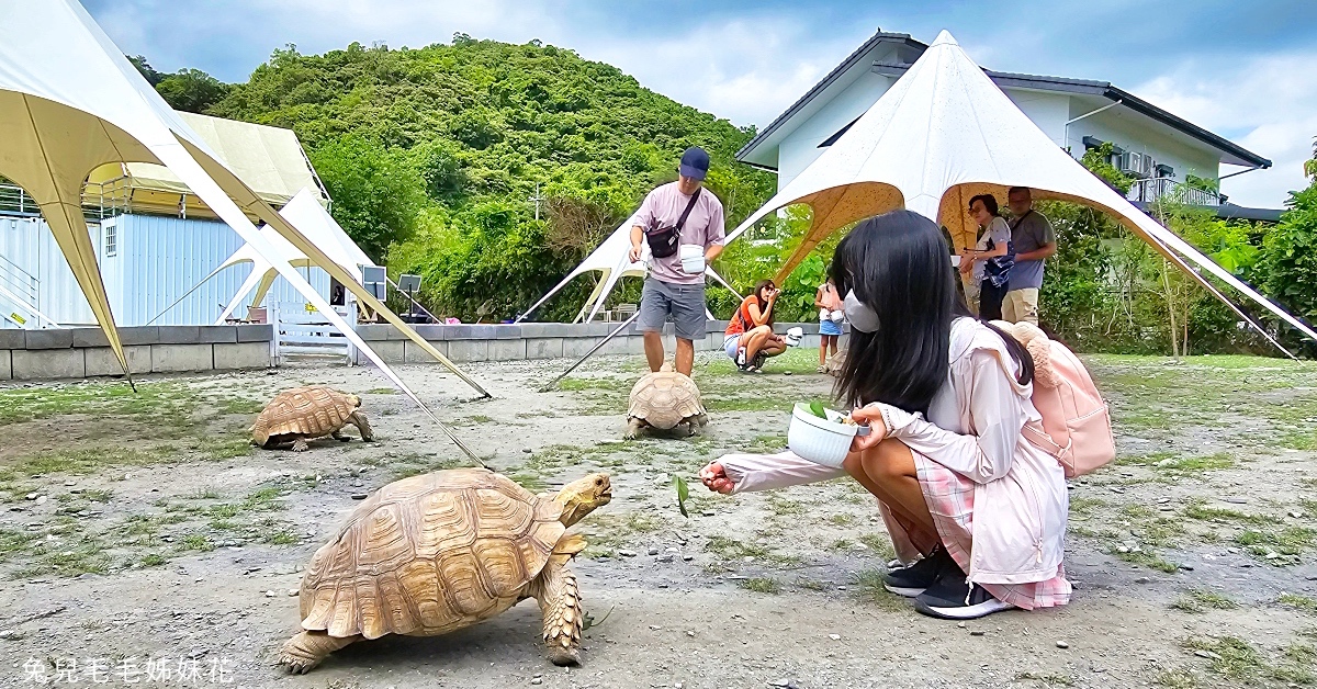 宜蘭動物農場｜超過20個宜蘭餵動物好地方，來和可愛動物親密互動吧～ @兔兒毛毛姊妹花