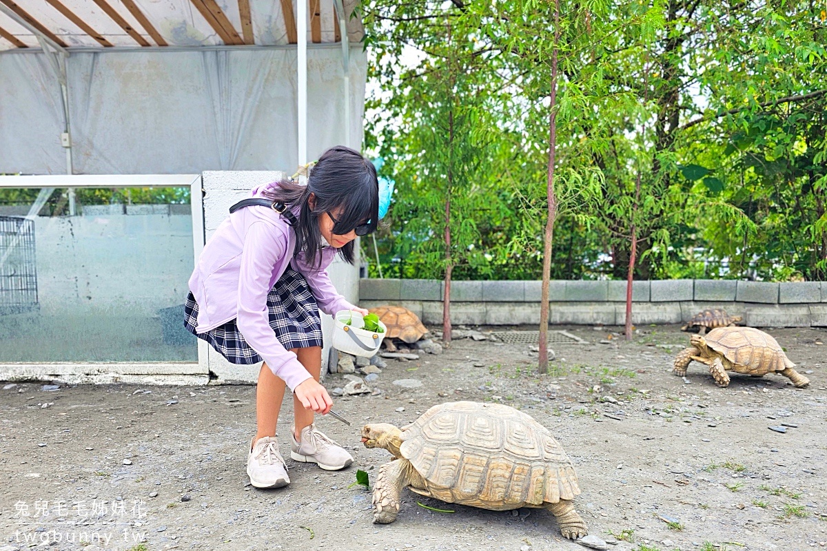 宜蘭冬山景點【慢吞吞農場】全新開幕動物農場!! 象龜、浣熊、柯爾鴨、垂耳兔都可以餵食 @兔兒毛毛姊妹花