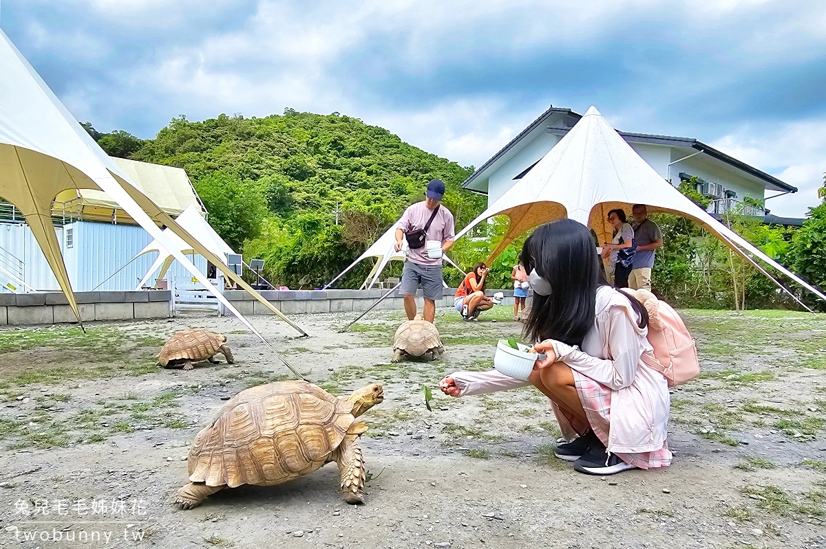 宜蘭冬山景點【慢吞吞農場】全新開幕動物農場!! 象龜、浣熊、柯爾鴨、垂耳兔都可以餵食 @兔兒毛毛姊妹花