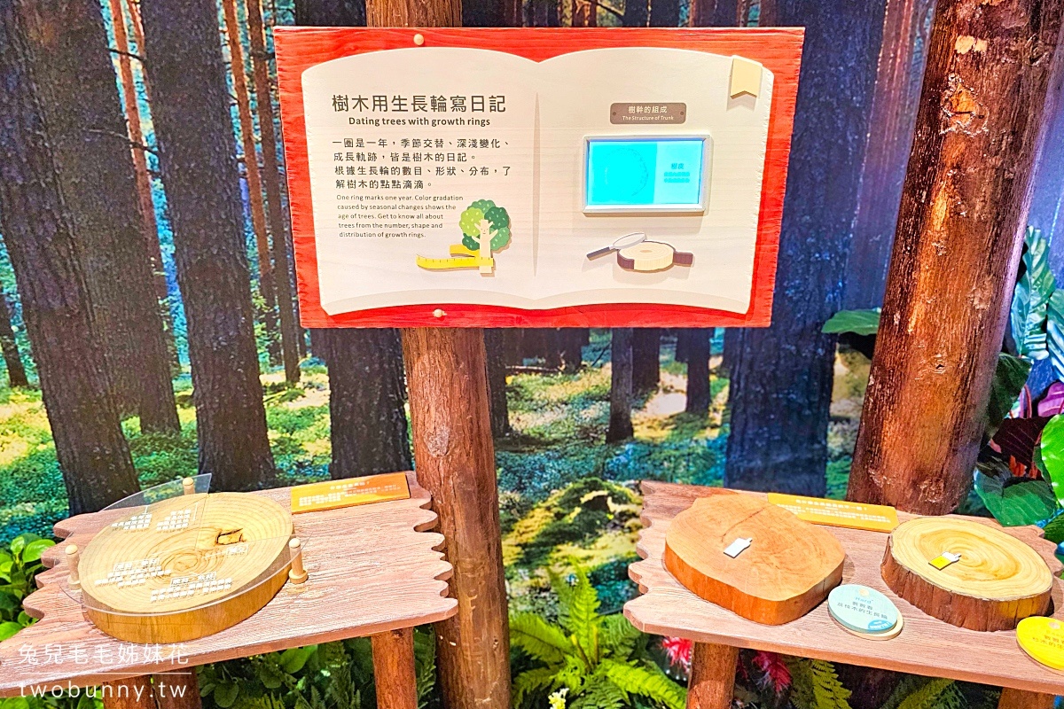 新店木育森林裕隆城｜療癒系森林室內樂園，能動能靜、大人小孩都玩翻的台北室內景點 @兔兒毛毛姊妹花