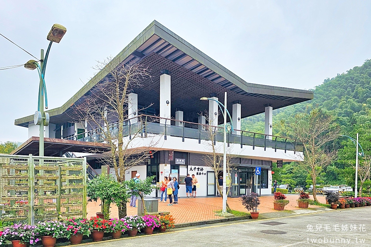 太平雲梯｜嘉義梅山新亮點，走吊橋漫步雲端、眺望嘉南平原美景 @兔兒毛毛姊妹花