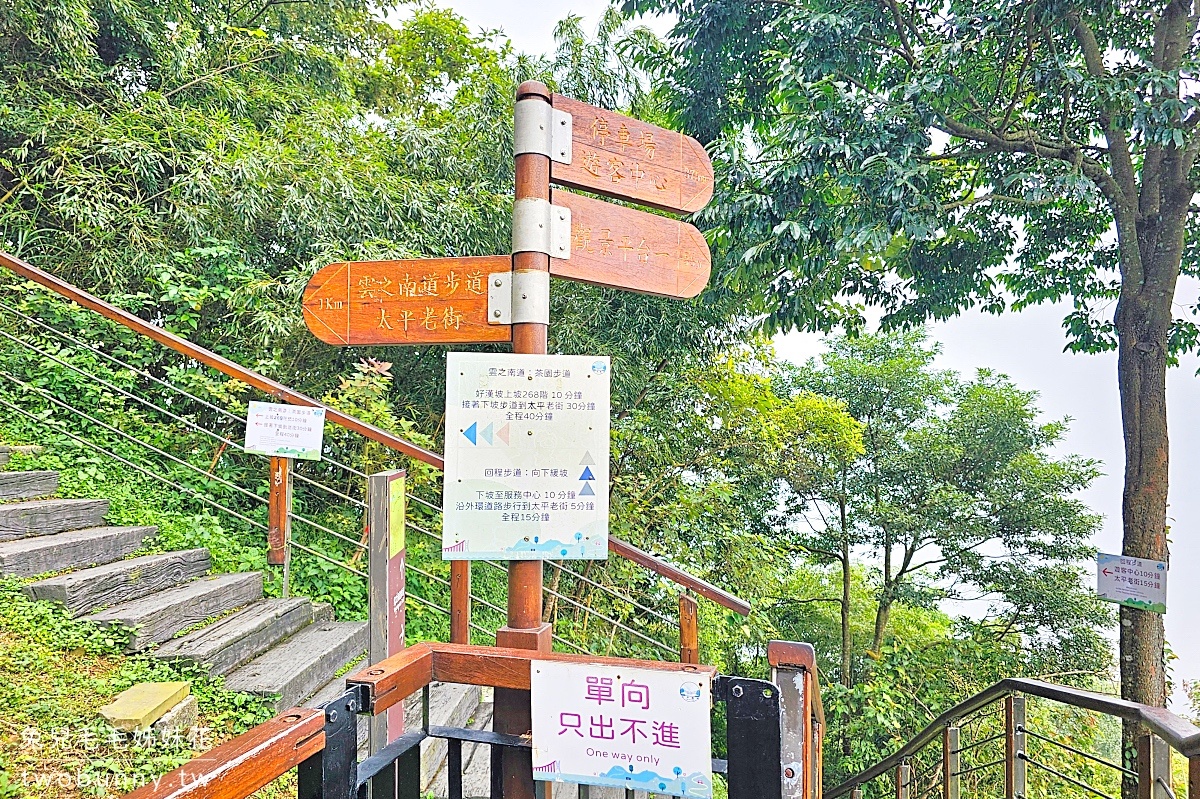 雲之南道｜嘉義梅山太平雲梯茶園步道，平緩好走一路散步去太平老街 @兔兒毛毛姊妹花