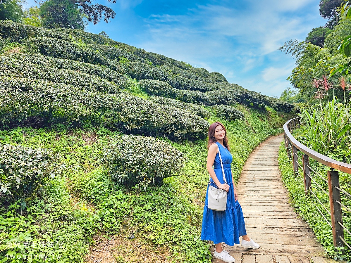 雲之南道｜嘉義梅山太平雲梯茶園步道，平緩好走一路散步去太平老街 @兔兒毛毛姊妹花