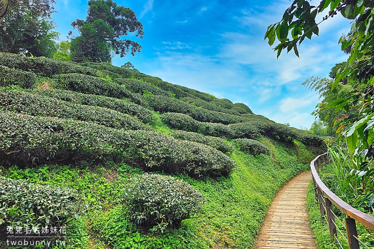 雲之南道｜嘉義梅山太平雲梯茶園步道，平緩好走一路散步去太平老街 @兔兒毛毛姊妹花