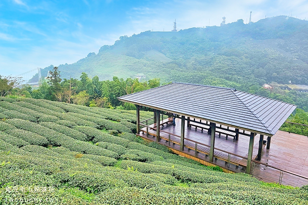 雲之南道｜嘉義梅山太平雲梯茶園步道，平緩好走一路散步去太平老街 @兔兒毛毛姊妹花