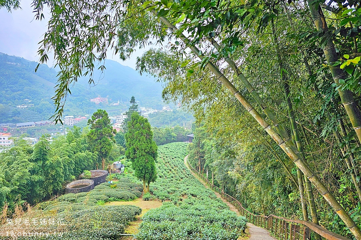 雲之南道｜嘉義梅山太平雲梯茶園步道，平緩好走一路散步去太平老街 @兔兒毛毛姊妹花