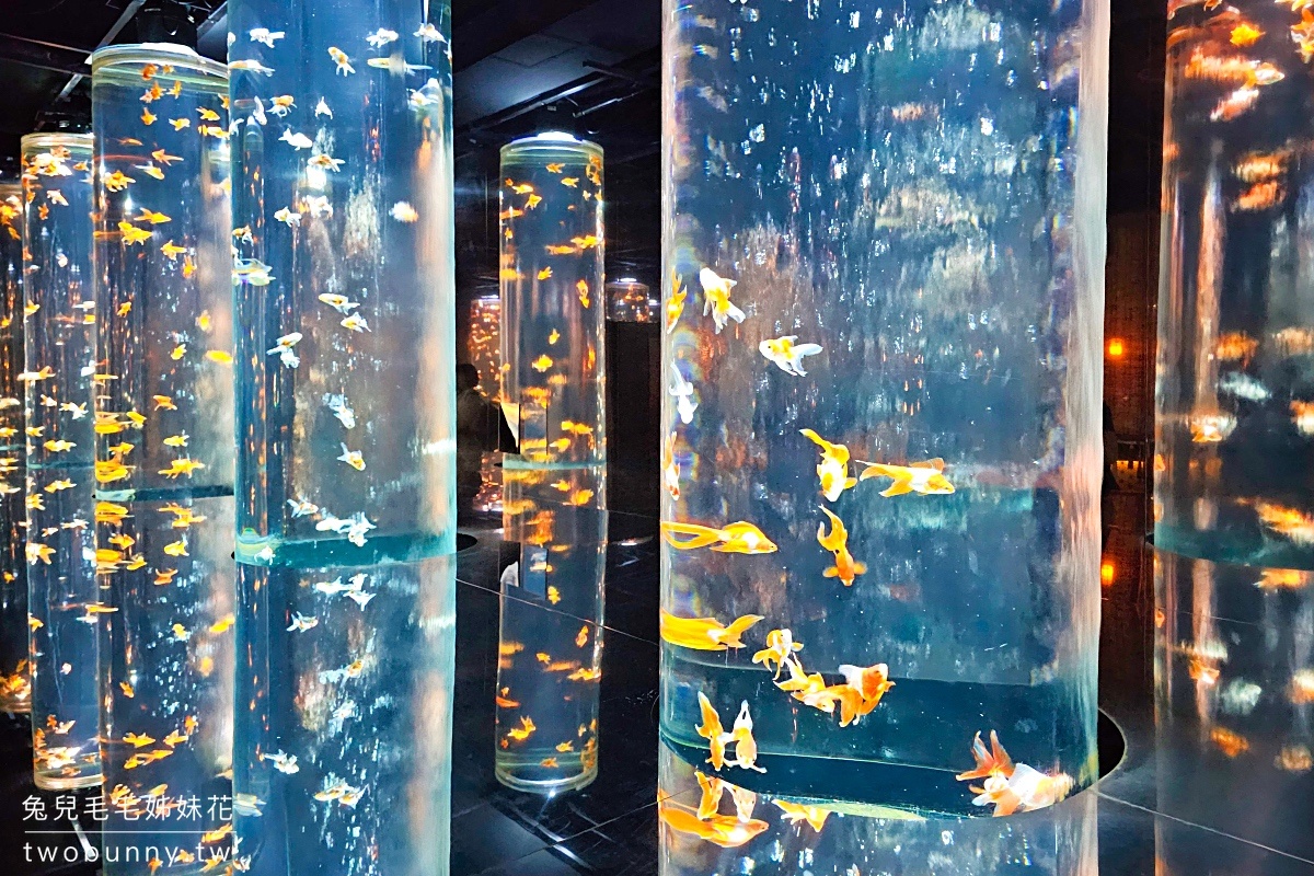 銀座藝術水族館 ART AQUARIUM MUSEUM｜東京最璀璨炫麗「銀座の金魚」神好拍 @兔兒毛毛姊妹花