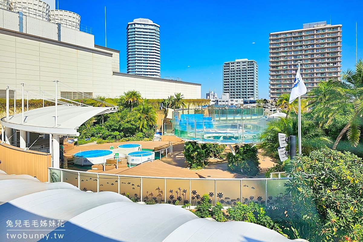 東京水族館｜五間東京必訪水族館門票、交通、特色大評比 &#038; 玩樂攻略 @兔兒毛毛姊妹花