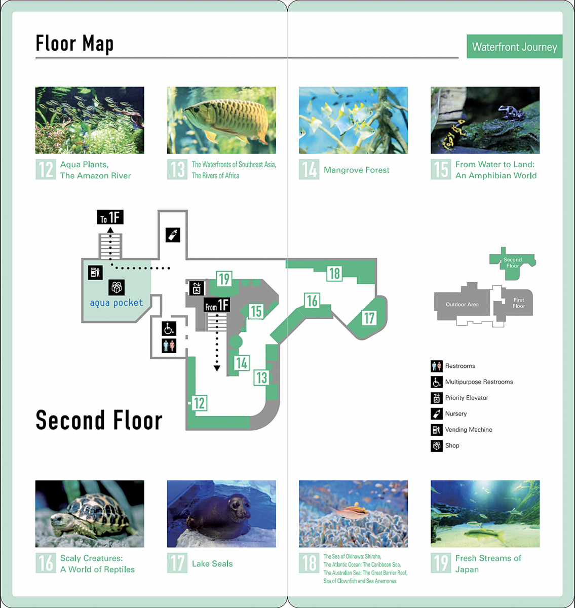 池袋陽光水族館 Sunshine Aquarium｜東京超酷天空水族館，城市漂浮企鵝太可愛!! @兔兒毛毛姊妹花