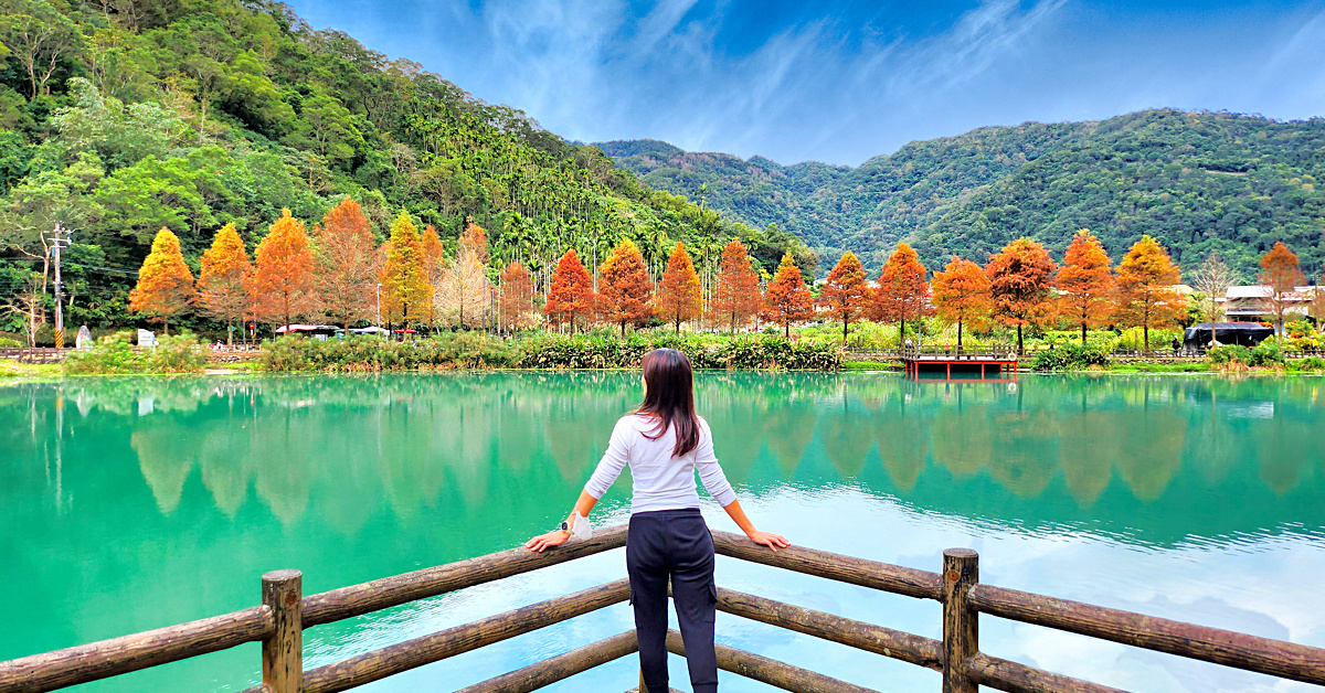 宜蘭落羽松「望龍埤」綠色湖水、紅色曲橋搭配湖畔落羽松就是美，宜蘭員山免費景點 @兔兒毛毛姊妹花