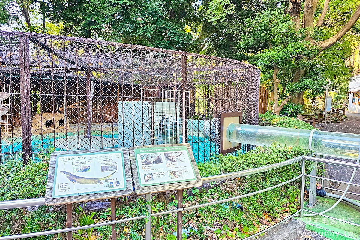 東京景點》上野動物園｜日本最古老動物園藏在上野恩賜公園，必看北極熊、鯨頭鸛 @兔兒毛毛姊妹花