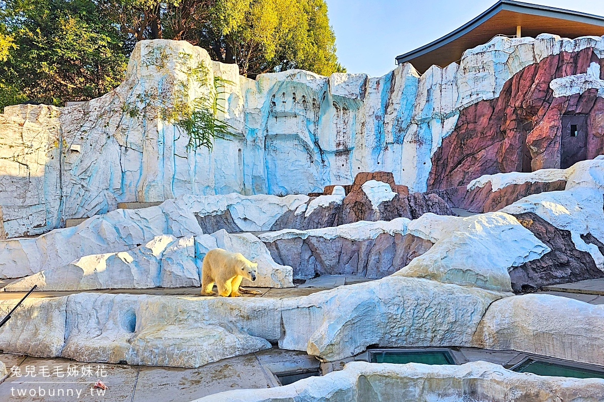 東京景點》上野動物園｜日本最古老動物園藏在上野恩賜公園，必看北極熊、鯨頭鸛 @兔兒毛毛姊妹花