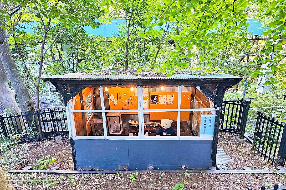 東京景點》上野動物園｜日本最古老動物園藏在上野恩賜公園，必看北極熊、鯨頭鸛 @兔兒毛毛姊妹花