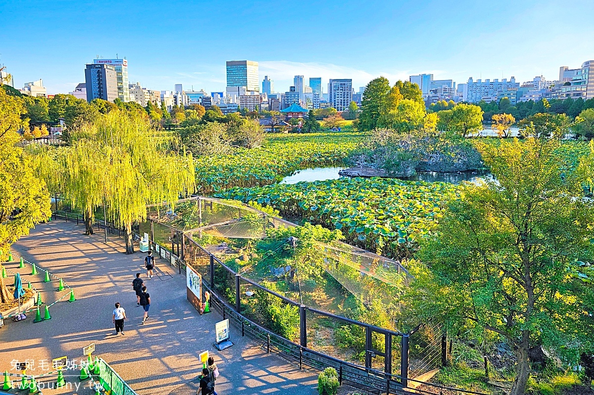 東京景點》上野動物園｜日本最古老動物園藏在上野恩賜公園，必看北極熊、鯨頭鸛 @兔兒毛毛姊妹花