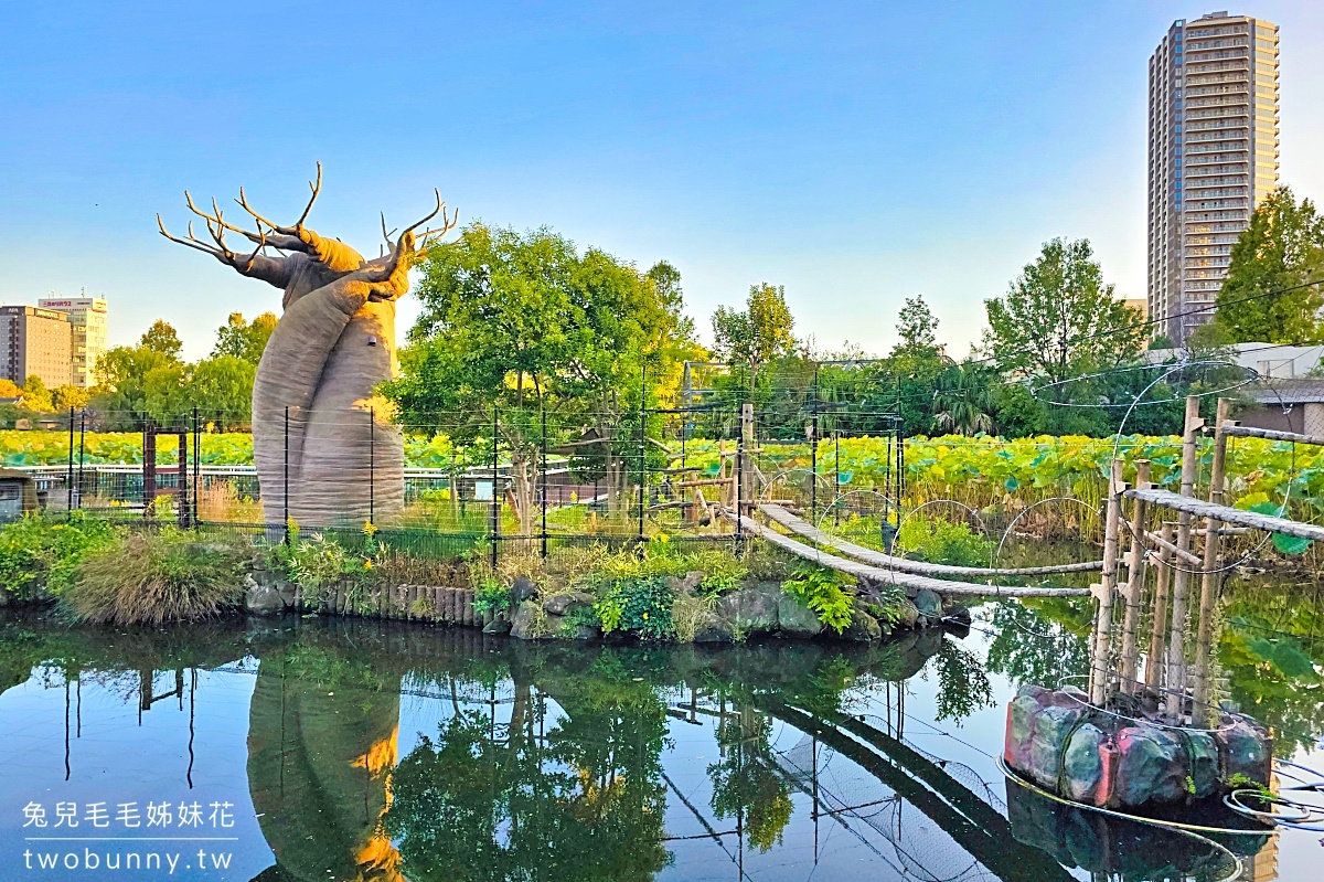 東京景點》上野動物園｜日本最古老動物園藏在上野恩賜公園，必看北極熊、鯨頭鸛 @兔兒毛毛姊妹花