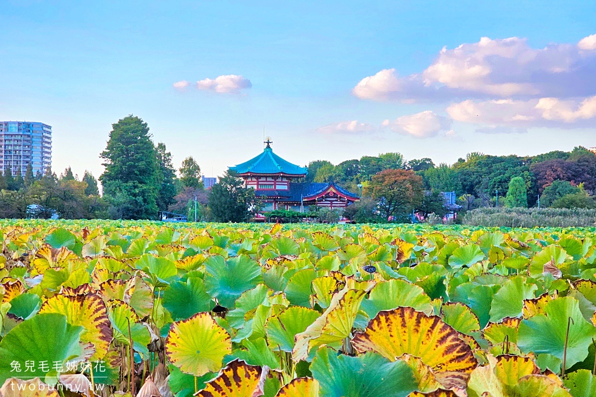 上野恩賜公園｜賞櫻、踩船、看動物、逛博物館，還有特色星巴克可以待的東京景點 @兔兒毛毛姊妹花