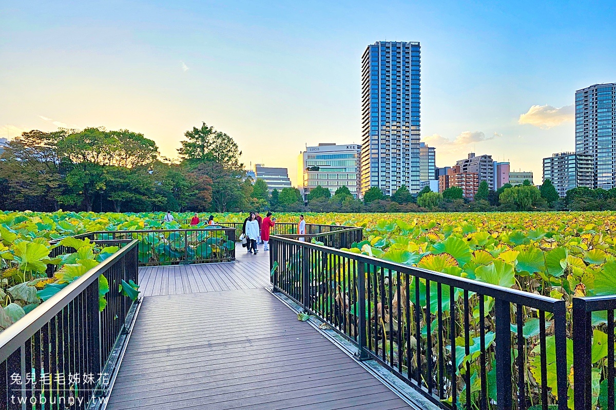 上野恩賜公園｜賞櫻、踩船、看動物、逛博物館，還有特色星巴克可以待的東京景點 @兔兒毛毛姊妹花