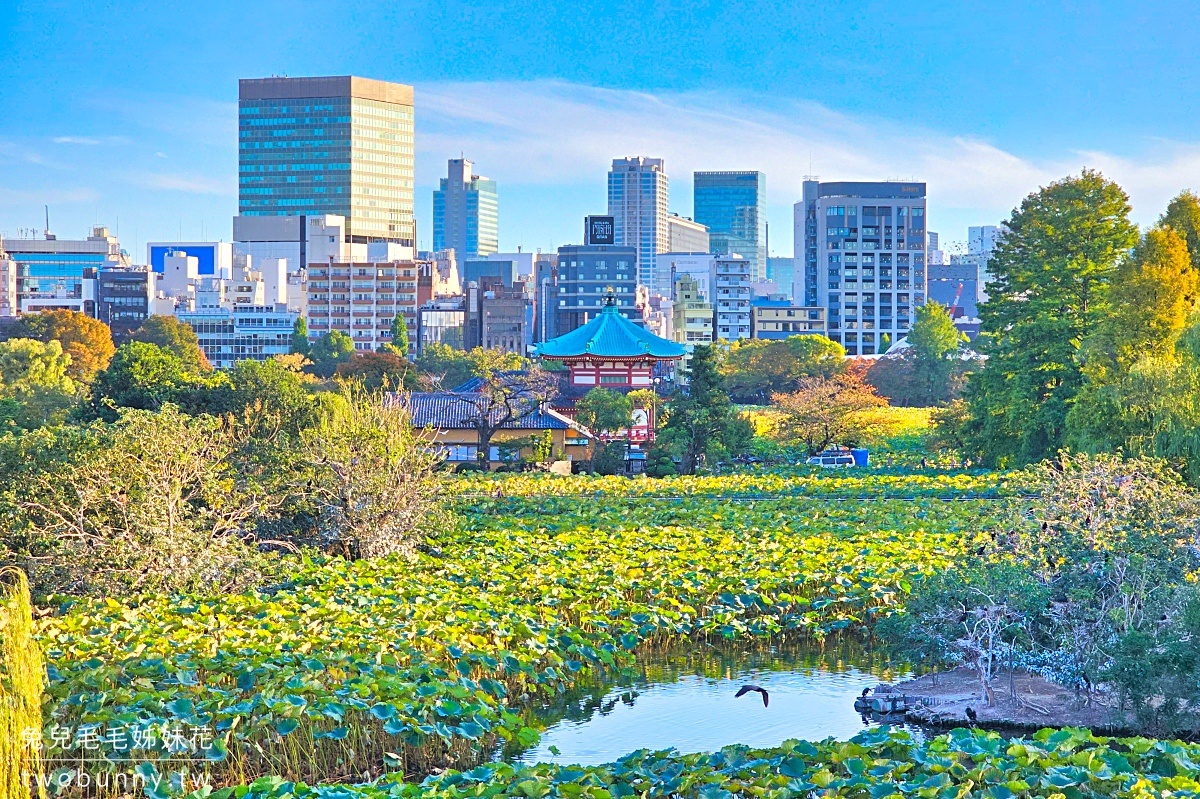 上野恩賜公園｜賞櫻、踩船、看動物、逛博物館，還有特色星巴克可以待的東京景點 @兔兒毛毛姊妹花