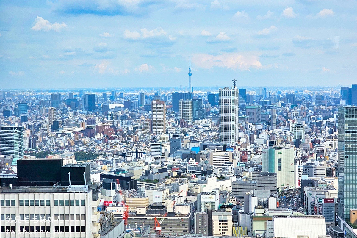 東京景點【東京展望台】九個欣賞東京夜景好地方～觀景台、景觀餐廳、免費夜景推薦 @兔兒毛毛姊妹花