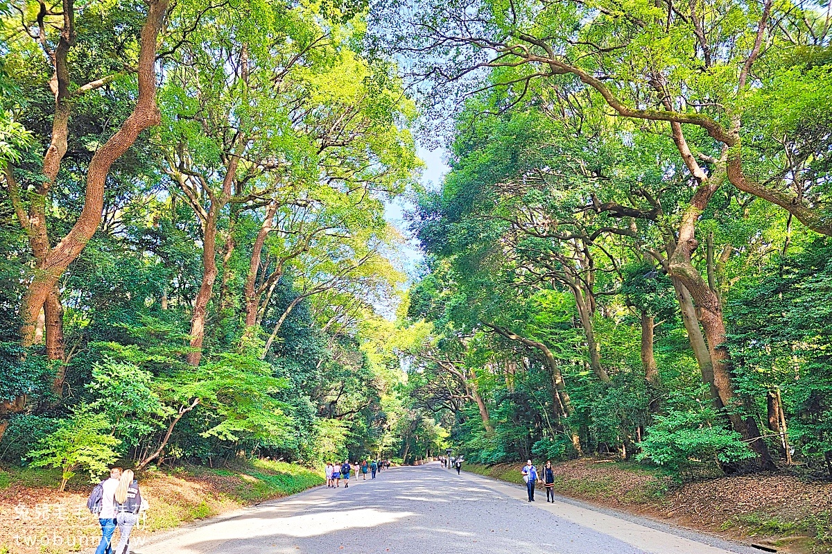 東京景點【明治神宮】參訪地圖、必拍重點攻略～大鳥居、百年森林，還有特色御守 @兔兒毛毛姊妹花