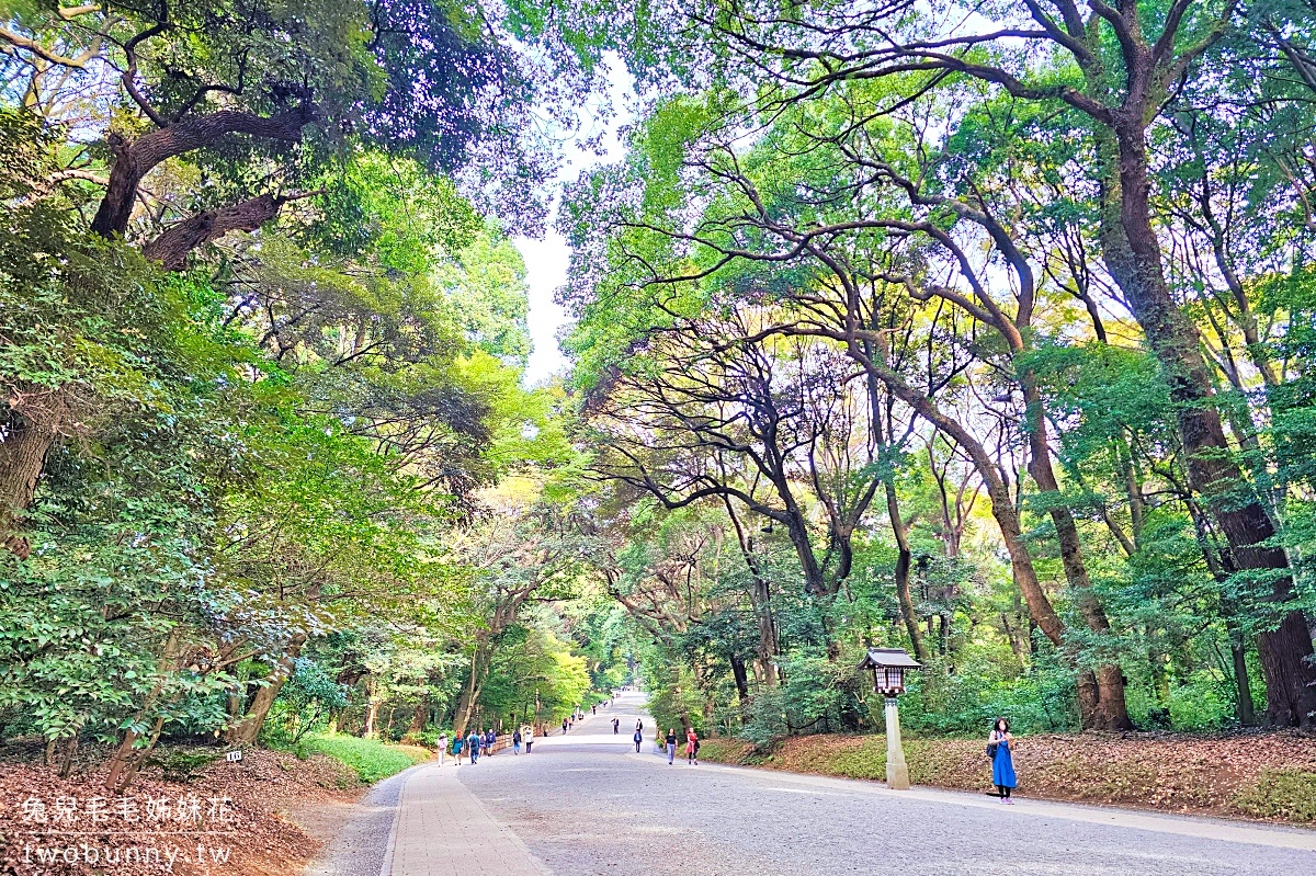 東京景點【明治神宮】參訪地圖、必拍重點攻略～大鳥居、百年森林，還有特色御守 @兔兒毛毛姊妹花