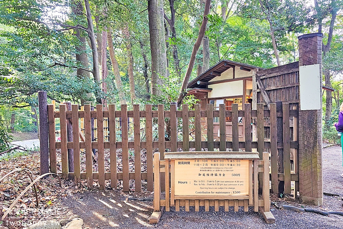 東京景點【明治神宮】參訪地圖、必拍重點攻略～大鳥居、百年森林，還有特色御守 @兔兒毛毛姊妹花