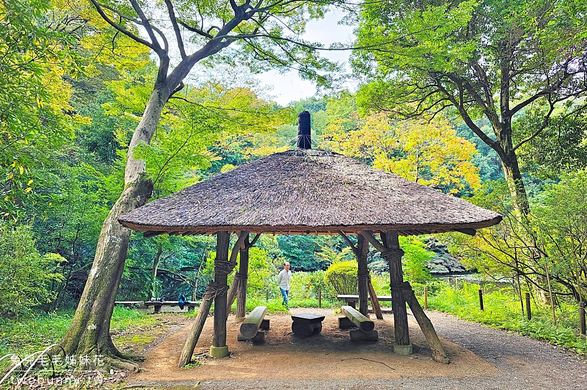 東京景點【明治神宮】參訪地圖、必拍重點攻略～大鳥居、百年森林，還有特色御守 @兔兒毛毛姊妹花