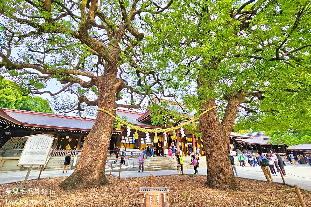 東京景點【明治神宮】參訪地圖、必拍重點攻略～大鳥居、百年森林，還有特色御守 @兔兒毛毛姊妹花