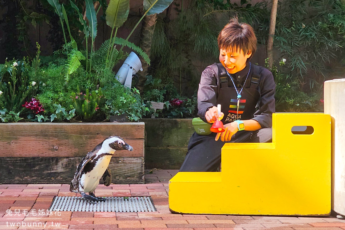 Maxell Aqua Park 品川｜東京品川水族館～暢遊海底隧道、欣賞最華麗的聲光海豚秀 @兔兒毛毛姊妹花