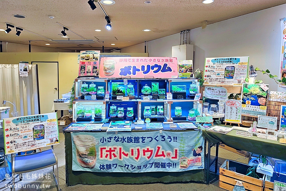 品川水族館しながわ水族館｜海豚秀、海獅秀，海底隧道有海龜從頭頂游過｜東京景點 @兔兒毛毛姊妹花